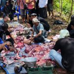 Penyembelihan Hewan Kurban PSHT Prov Kalimantan Tengah 2024 di hadiri Majelis Luhur PSHT