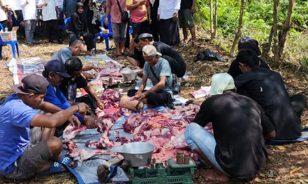 Penyembelihan Hewan Kurban PSHT Prov Kalimantan Tengah 2024 di hadiri Majelis Luhur PSHT